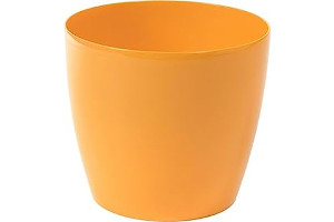 Maceteros Para Naranjos
