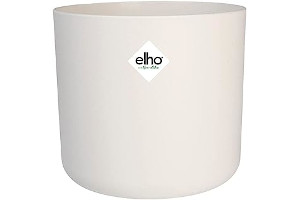 31LPlRWe89L._AC_UL320_