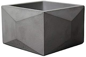 31WiktWyibL._AC_UL320_