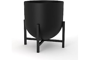 41iSWT0vSzL._AC_UL320_