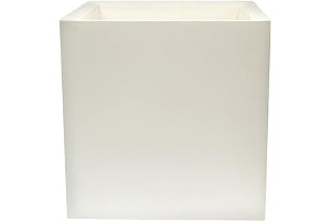 41uU6d7E89S._AC_UL320_