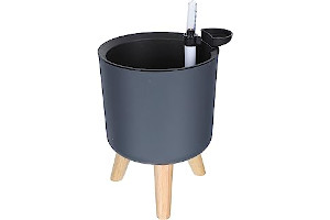 51I6Uimm7zL._AC_UL320_