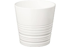 51QYMClg+AL._AC_UL320_