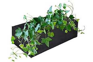 51s2icDBhaL._AC_UL320_