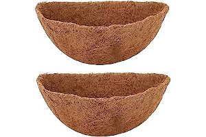 61GW1EqQFUL._AC_UL320_