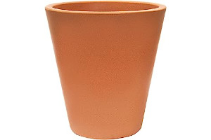 61RTIeSoPtS._AC_UL320_