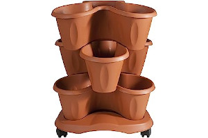 61RU-9s+MgL._AC_UL320_