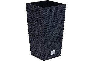 61T52hLef4L._AC_UL320_