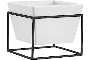 Amazon Macetero Rectangular 61TDiZ4tqqL._AC_UL320_