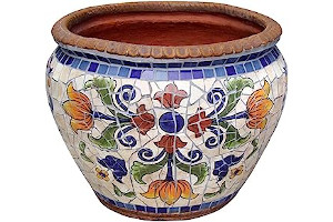 61TbZgUmH+L._AC_UL320_