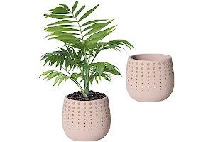 61fT5RnrfDL._AC_UL320_