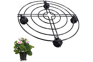 61mQHaLZK4L._AC_UL320_