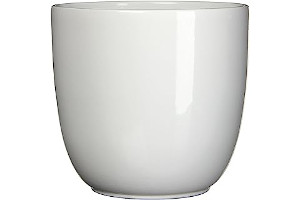 61wlia2snDL._AC_UL320_