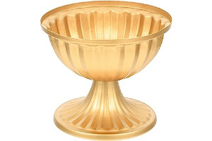 71+BIL21DVL._AC_UL320_