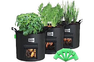 71FhENsZqJL._AC_UL320_