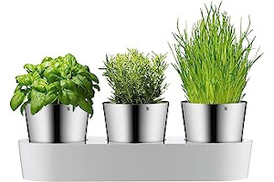 71GuJbFM9SL._AC_UL320_