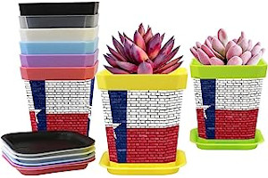 71k9n1EK0XL._AC_UL320_