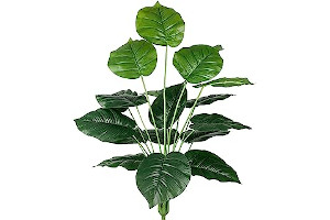 71nMe58PyTL._AC_UL320_