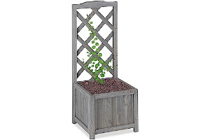 81+-+d2-GfL._AC_UL320_