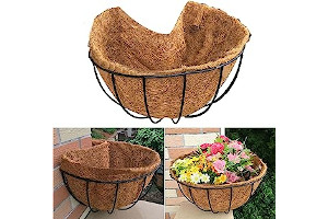 81CcRnRO4nL._AC_UL320_