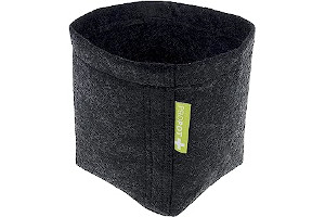 81Qmi1p89pL._AC_UL320_