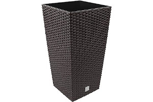 81mXU2VLy3L._AC_UL320_