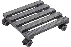 81r+Mp3hzYL._AC_UL320_