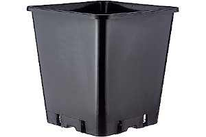 81zqhU9k5nL._AC_UL320_