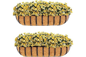 9166IBhy7ZL._AC_UL320_