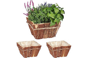 Set Maceteros 91LxSfMtM0L._AC_UL320_