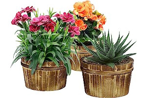 Maceteros Grandes Para Patios